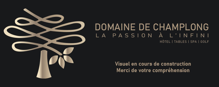 visuel en cours de création