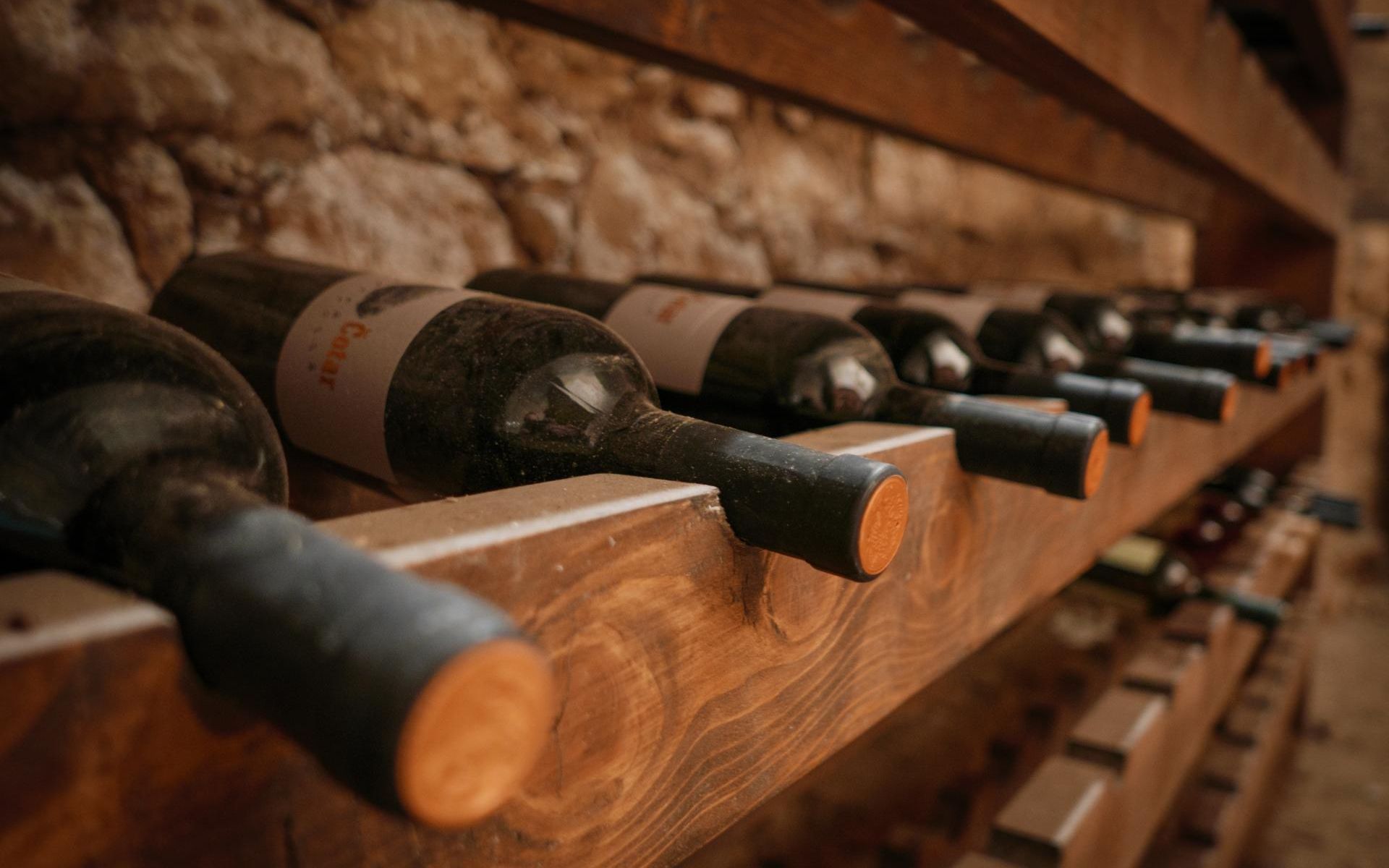 close-up-image-of-wine-bottles-on-shelves-in-cella-B73A2MJ.jpg