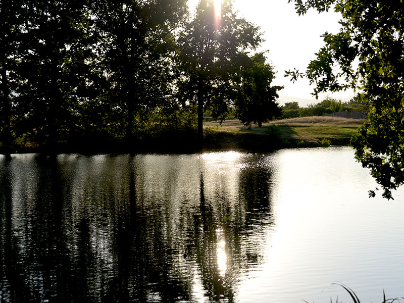 golf-club-champlong-5