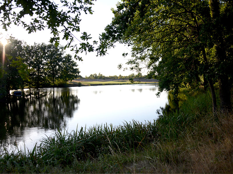 golf-club-champlong-11